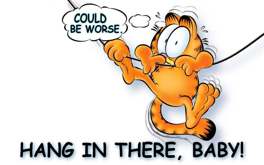 Funny Garfield Hang In There Wallpaper