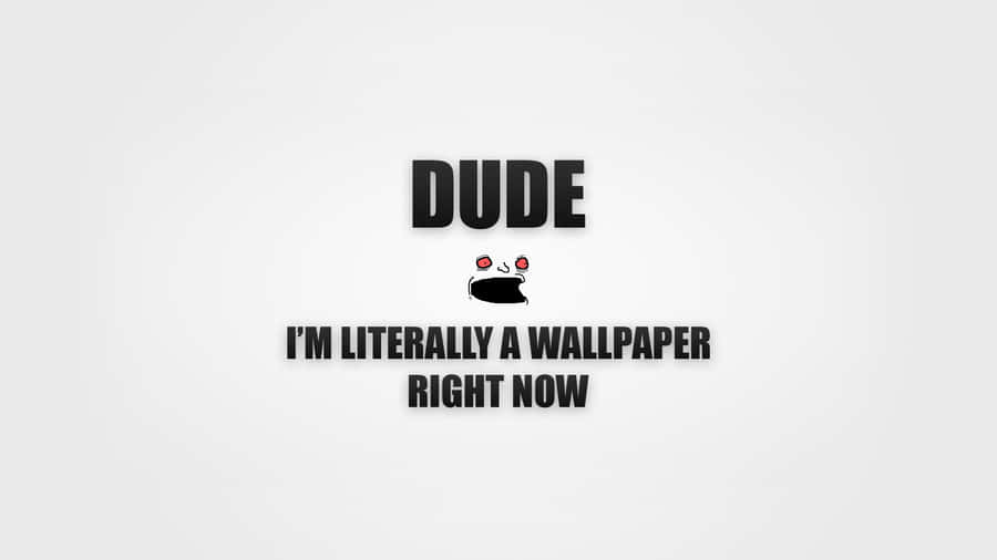 Funny Wallpaper Quote Dude Wallpaper