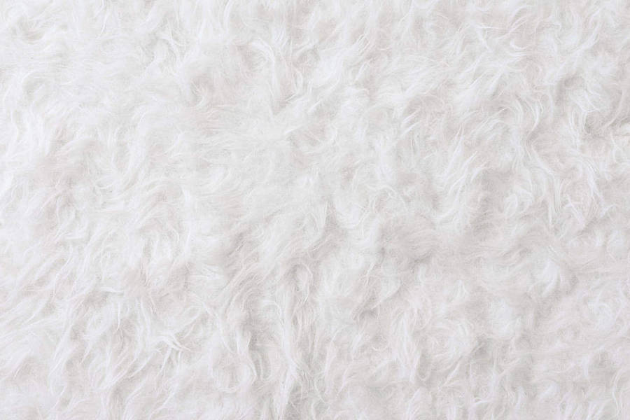 Fur Rug White Texture Wallpaper