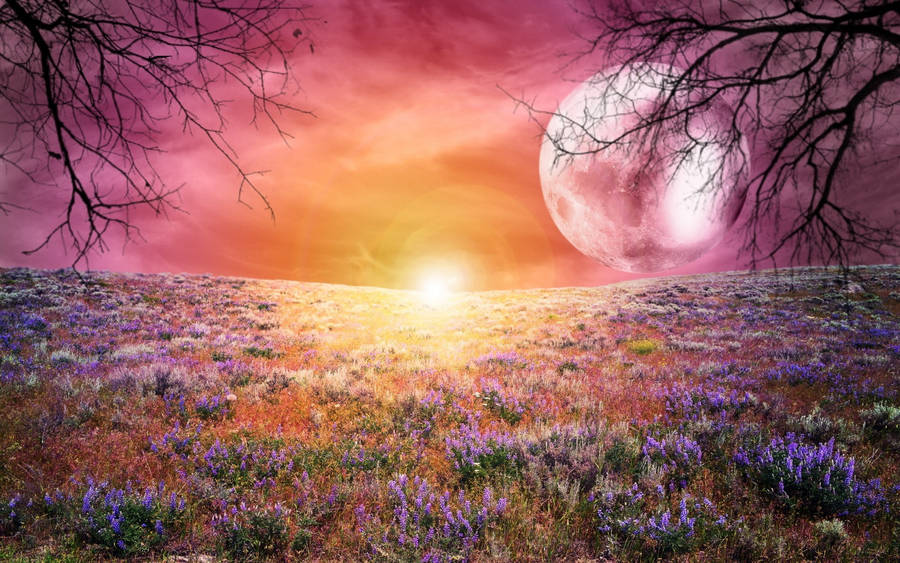 Galaxy Moon And Flower Field Wallpaper