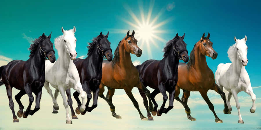 Galloping Seven Horses Artwork Wallpaper