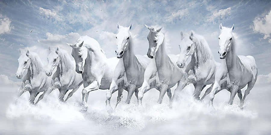 Galloping_ White_ Horses_ Clouds.jpg Wallpaper