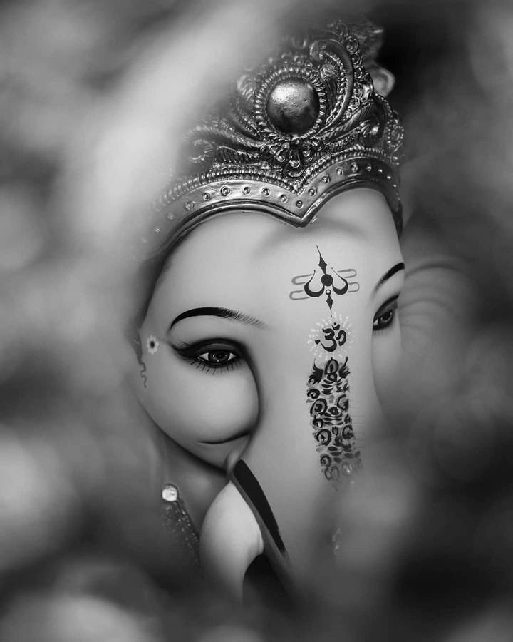 Ganesh Black And White Dreamy Shot Wallpaper