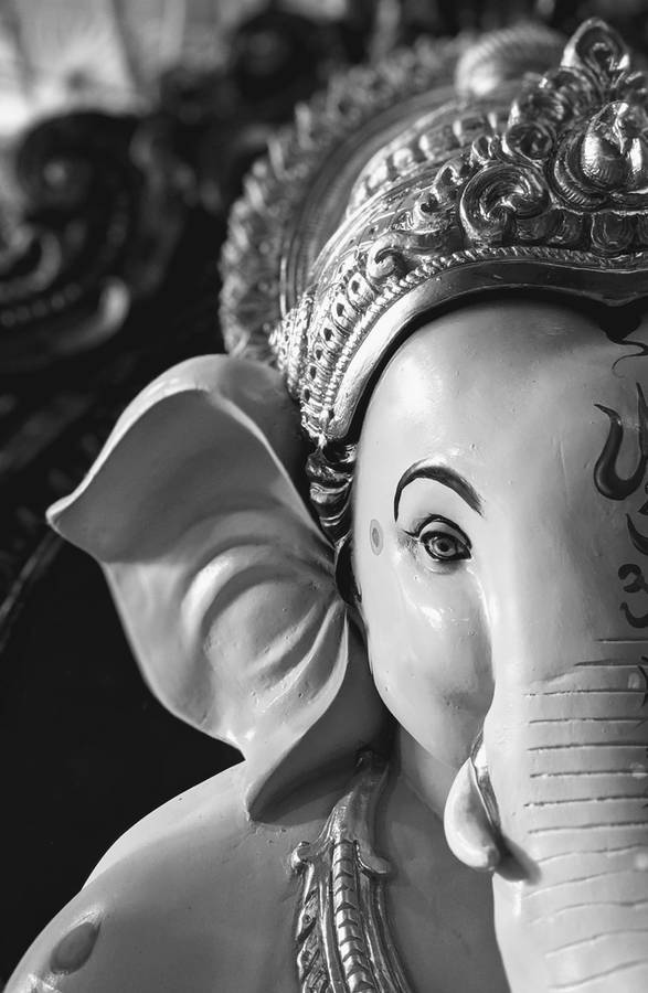 Ganesh Black And White Half Face Wallpaper