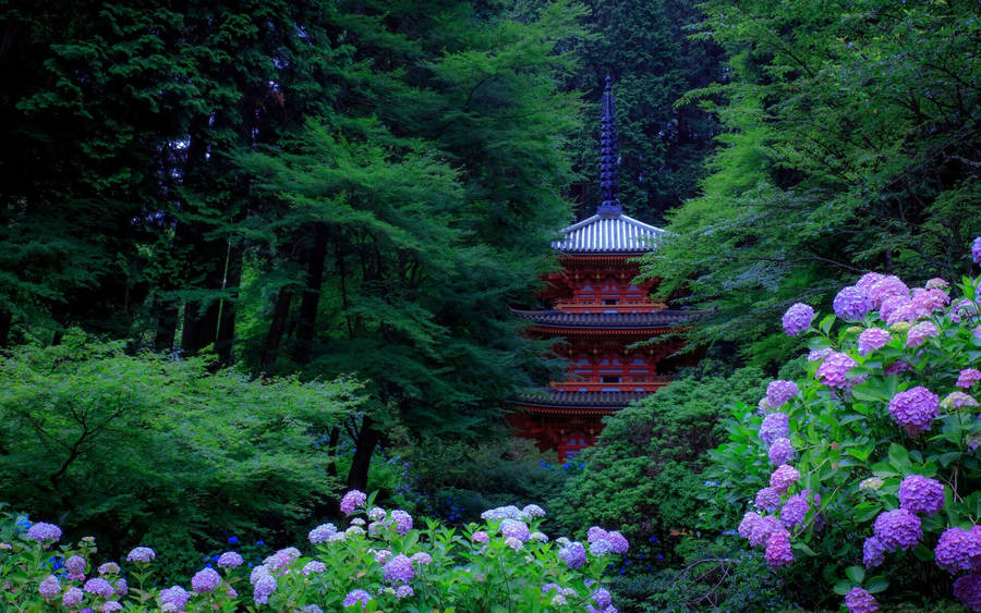 Gansen-ji Temple In Kyoto Wallpaper