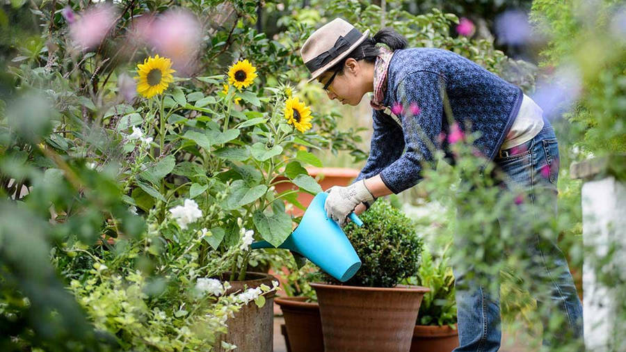 Gardening Teenager Girl Wallpaper