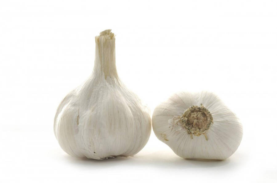 Garlic Vegetable Herb Standing And Bottom Part Wallpaper