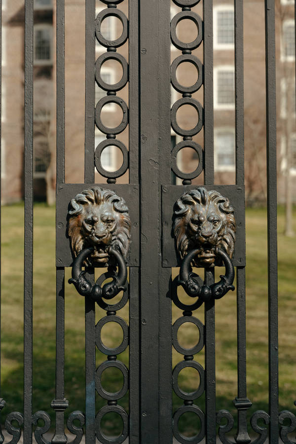 Gate Handles Of Brown University Wallpaper