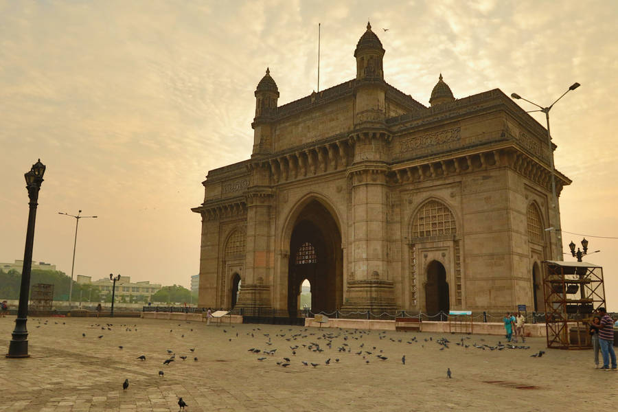 Gateway Of Mumbai Pigeons Wallpaper