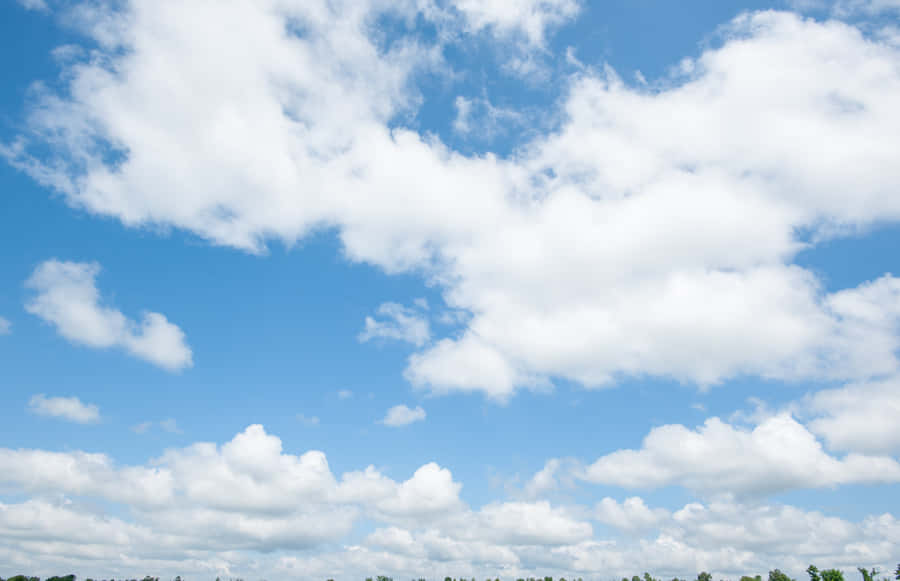 Gazing Out Into The Endless Blue Skies