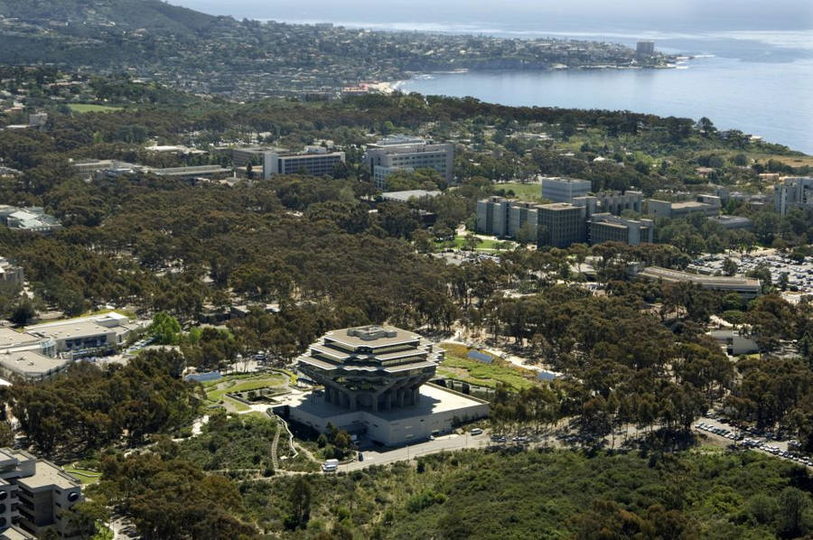 Geisel Ucsd Beach Wallpaper