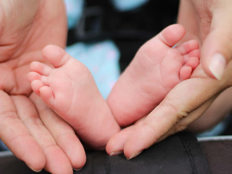 Gentle Holdof Baby Feet Wallpaper