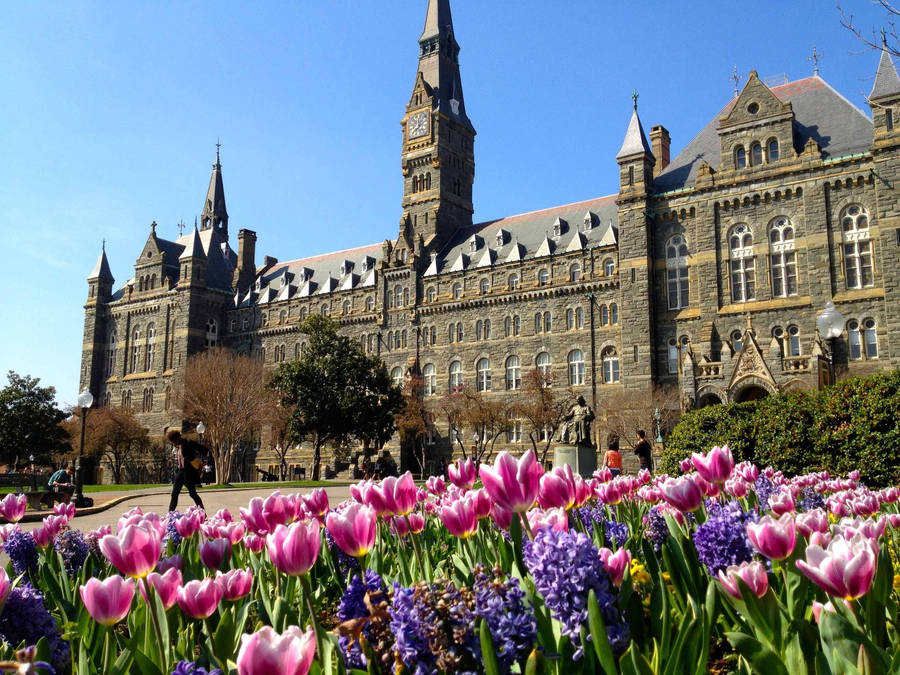 Georgetown Students Walking Wallpaper