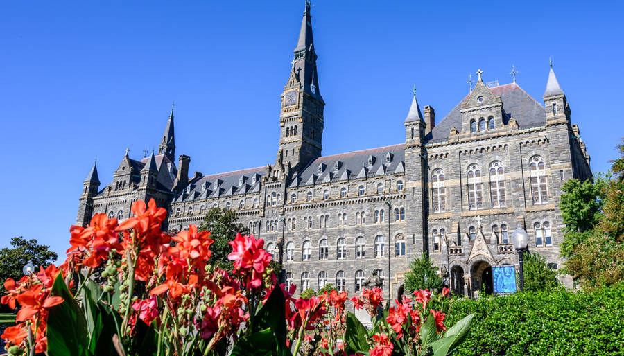 Georgetown University Flower Bed Wallpaper