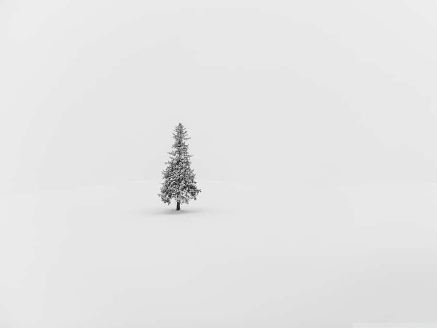 Get Into The Christmas Spirit With This Minimalist Desktop Wallpaper. Wallpaper