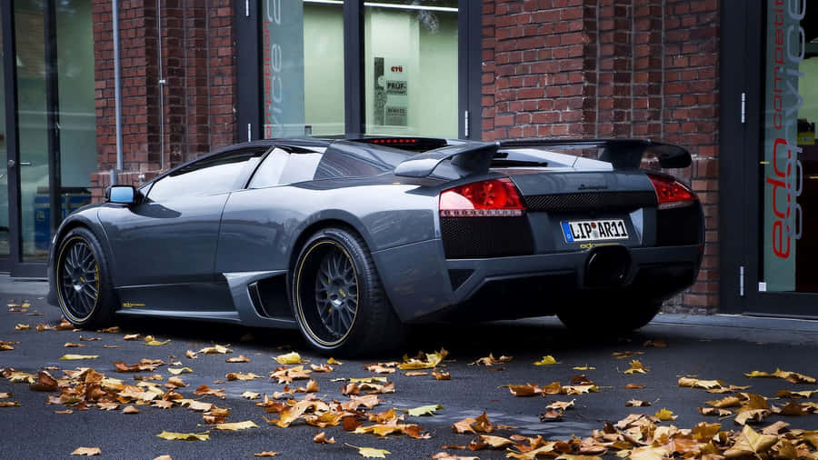 Get Ready To Feel The Power Of Cool Lamborghini Wallpaper
