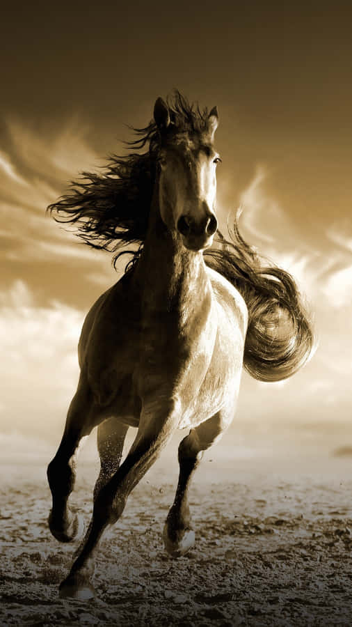 Get Ready To Hit The Trails On A Beautiful Horse Wallpaper