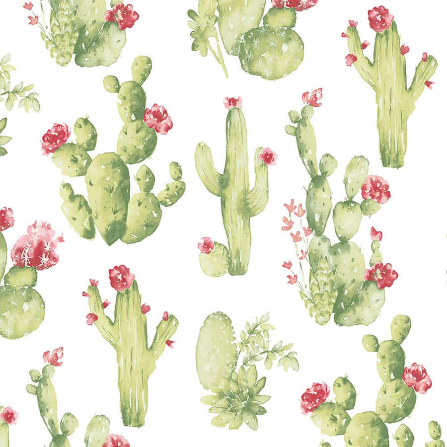 Get Some Prickly Joy In Your Life With These Cute Cacti! Wallpaper