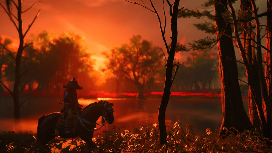 Ghost Of Tsushima Golden Hour Photography Wallpaper
