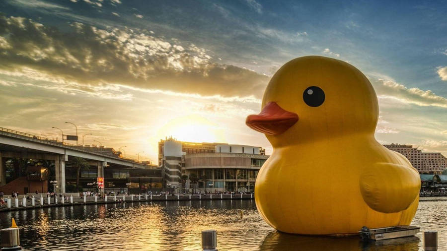 Giant Rubber Duck Wallpaper