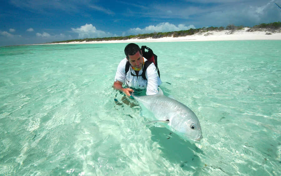 Giant Trevally On Shallow Ocean Wallpaper