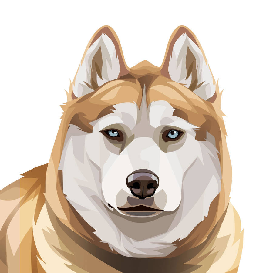 Ginger Husky Dog Art Wallpaper