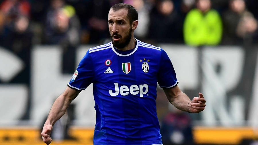 Giorgio Chiellini Juventus Fc Football Player Wallpaper