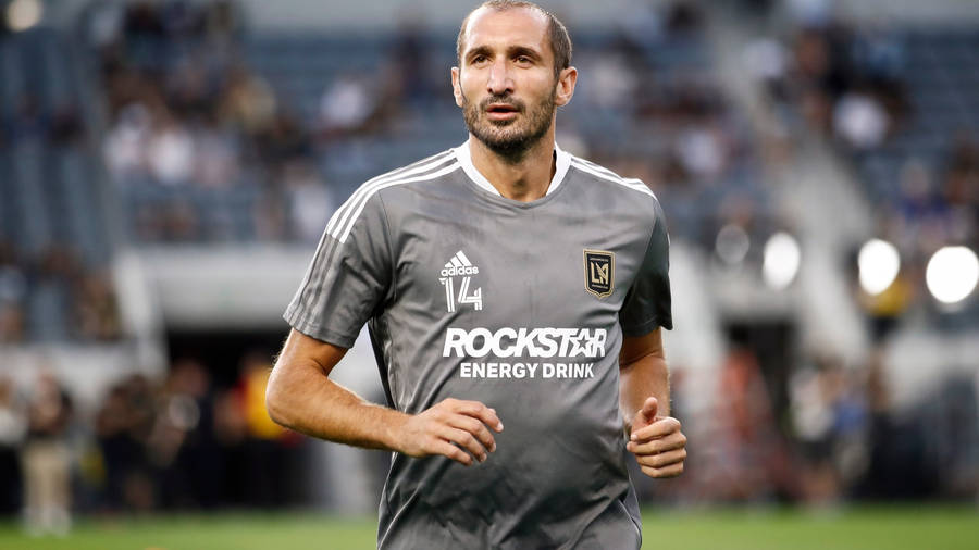 Giorgio Chiellini Los Angeles Fc Vs. Real Salt Lake Wallpaper