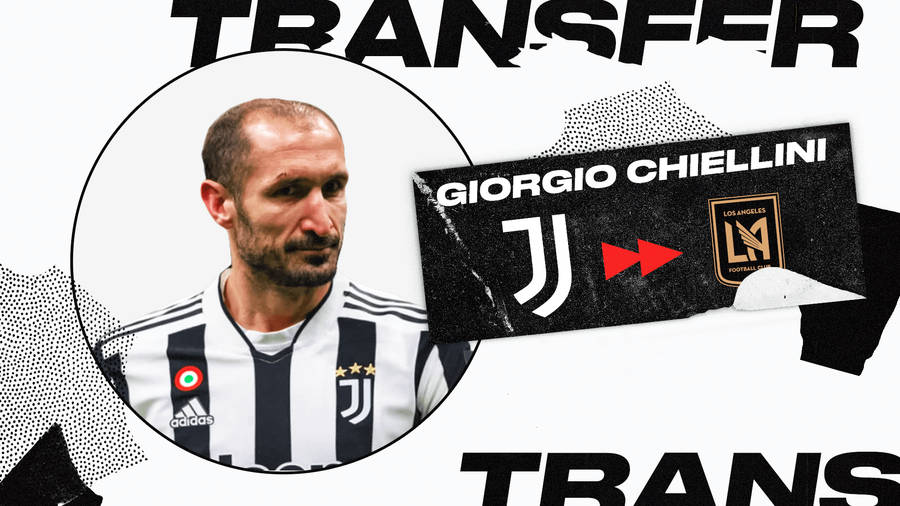 Giorgio Chiellini Transfer Team Major Soccer League Wallpaper