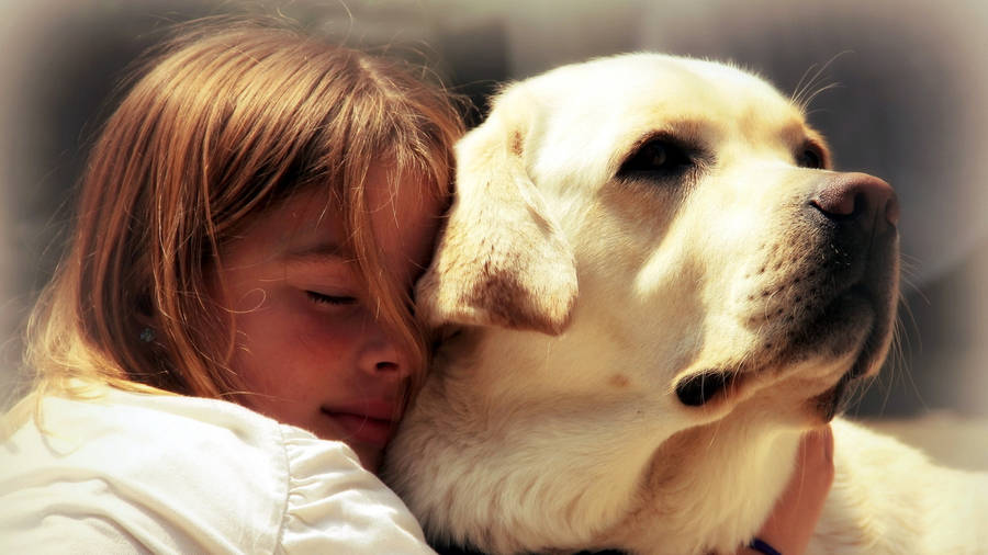 Girl With A Labrador Dog Wallpaper