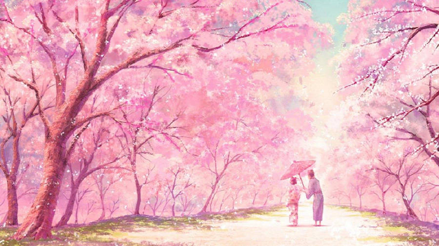 Girly Pink Aesthetic Cherry Blossoms Wallpaper