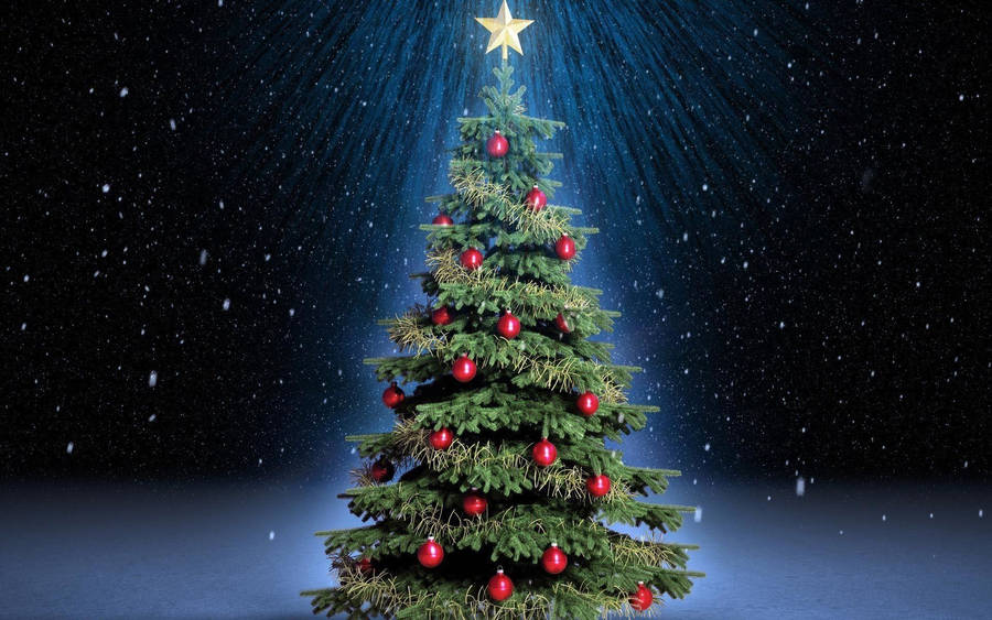 Glowing Christmas Tree Under Starry Sky Wallpaper