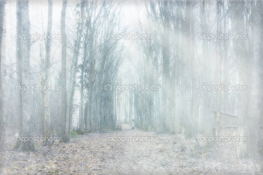 Go On A Journey Through The Mystical Forest Wallpaper