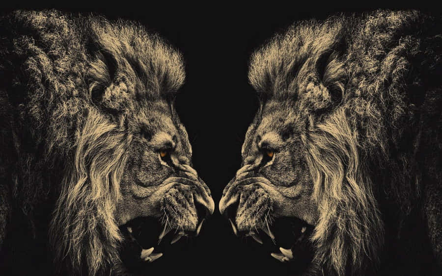 Golden Majestic Lion Wallpaper