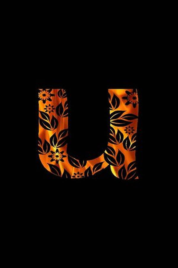 Golden Ornamental Skin Letter U Wallpaper