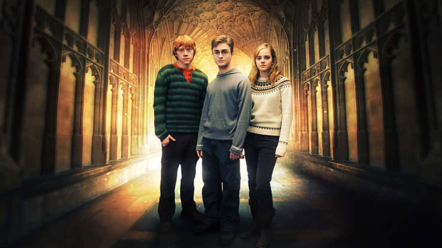 Golden Trio Hallway Wallpaper