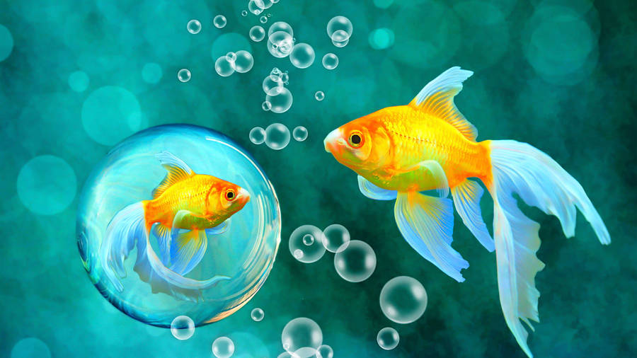 Goldfish Bubble Art Wallpaper