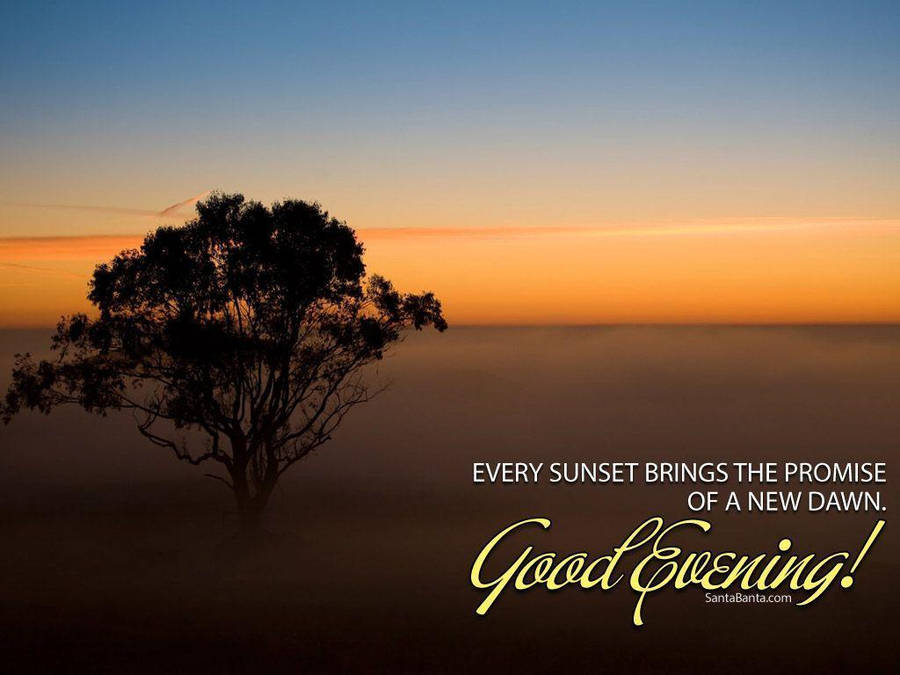 Good Evening Tree Wallpaper