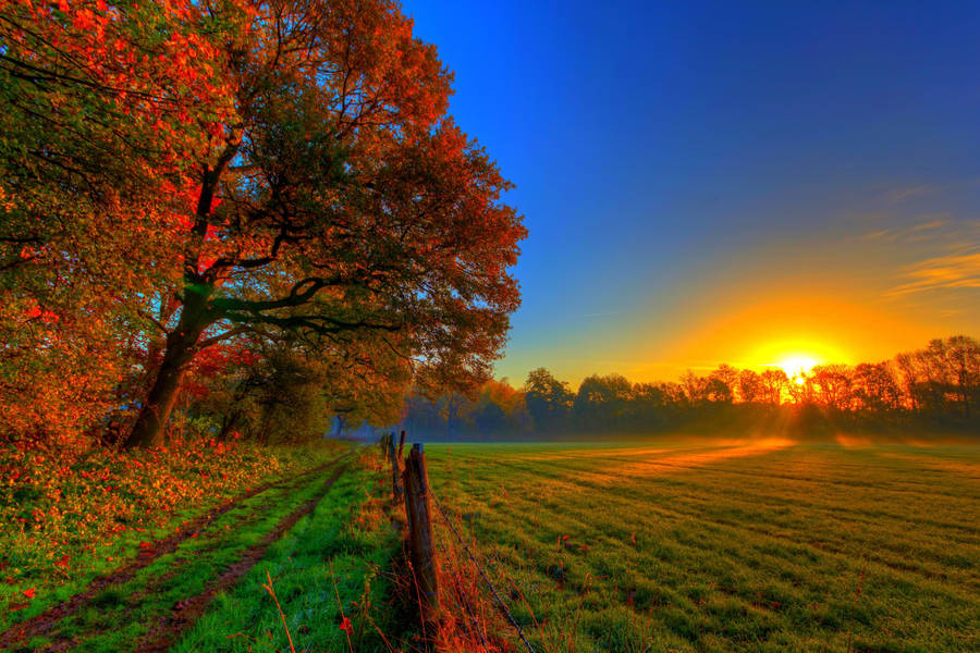 Good Morning Autumn Field Wallpaper