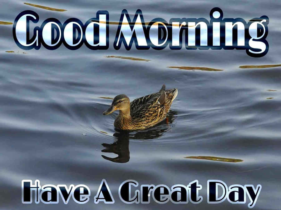 Good Morning Friday Duck Greeting Wallpaper