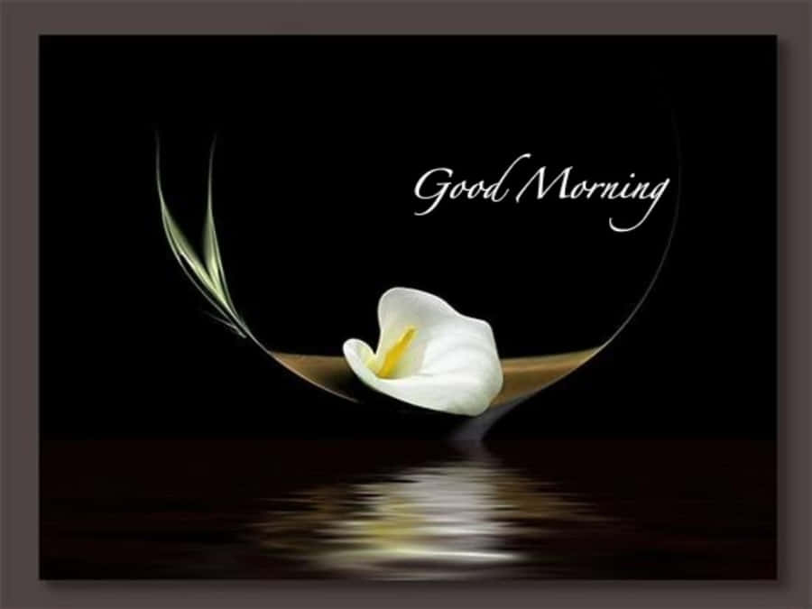 Good Morning Friday Floral Greeting Wallpaper