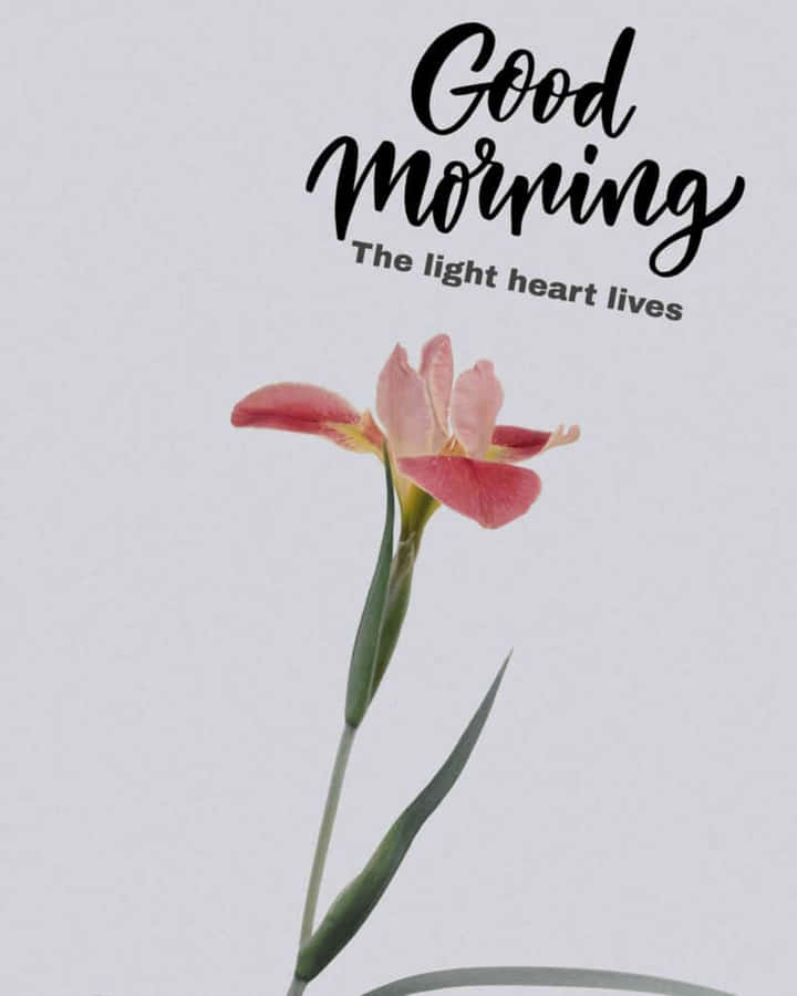 Good Morning Friday Inspirational Flower Wallpaper