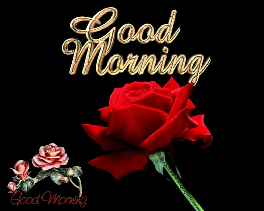 Good Morning Friday Rose Greeting Wallpaper