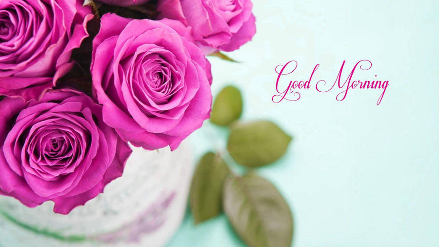 Good Morning Hd With Pink Roses Wallpaper