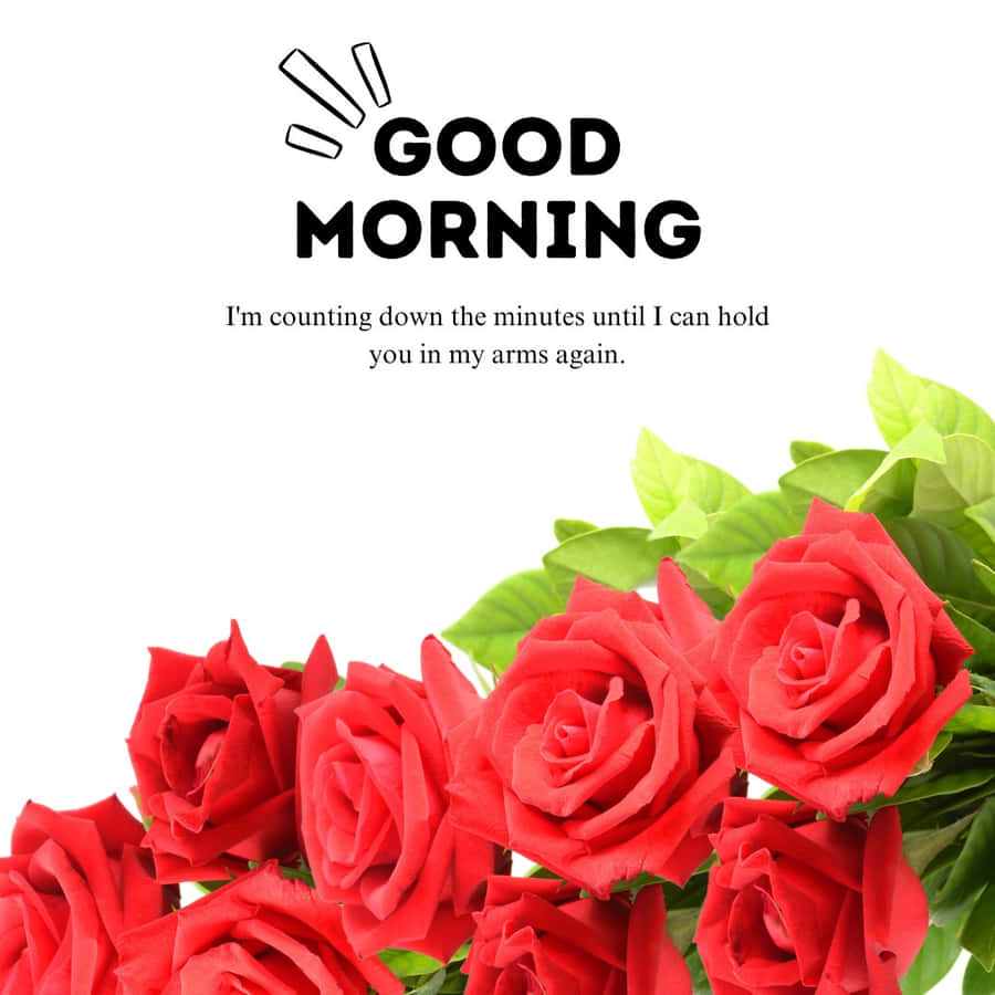 Good Morning My Love Countdown Message Wallpaper