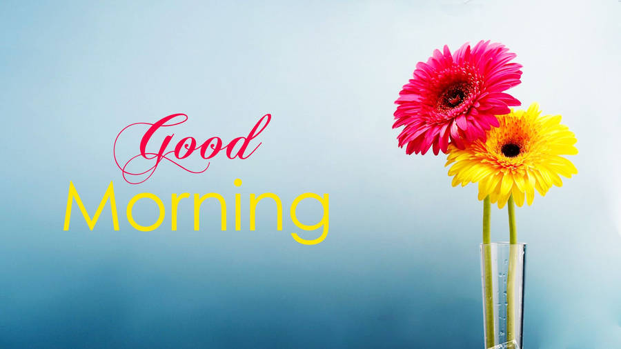 Good Morning Wallpaper With Flowers, Full Hd 1920x1080 Gm Image Wallpaper