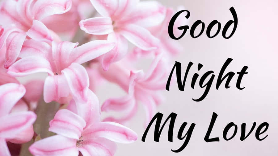 Good Night My Love Pink Flowers Wallpaper