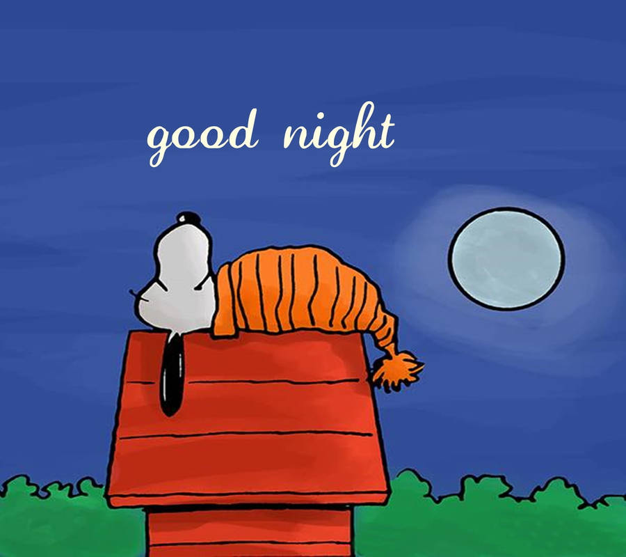 Good Night Sleeping Snoopy Wallpaper