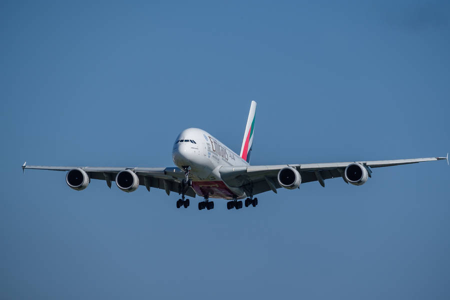 Google Flights Plane Front View Wallpaper