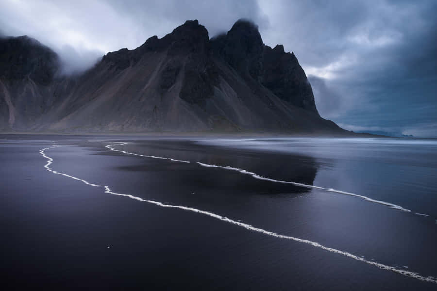 Google's Digital Landscape Wallpaper